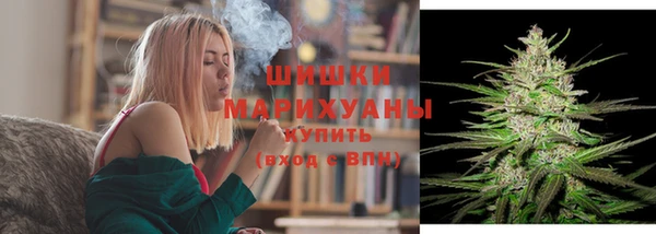 прущие грибы Козельск