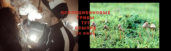 синтетический гашиш Киреевск