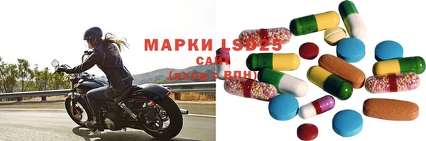 прущие грибы Козельск