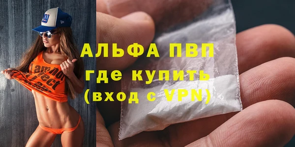 прущие грибы Козельск