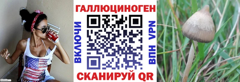 Псилоцибиновые грибы GOLDEN TEACHER  Купить где  Анадырь 